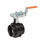 Elevation Butterfly Valve - Nitrile Lined
